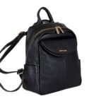 Luxe Voyage Γυναικείο Backpack Pierre Cardin